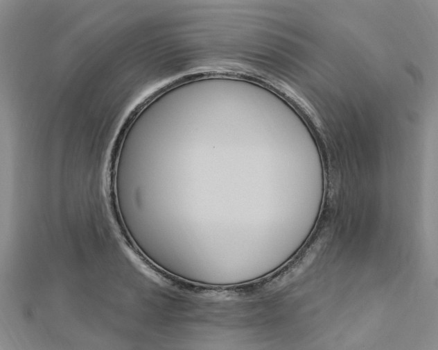 X0000112741037200908201030