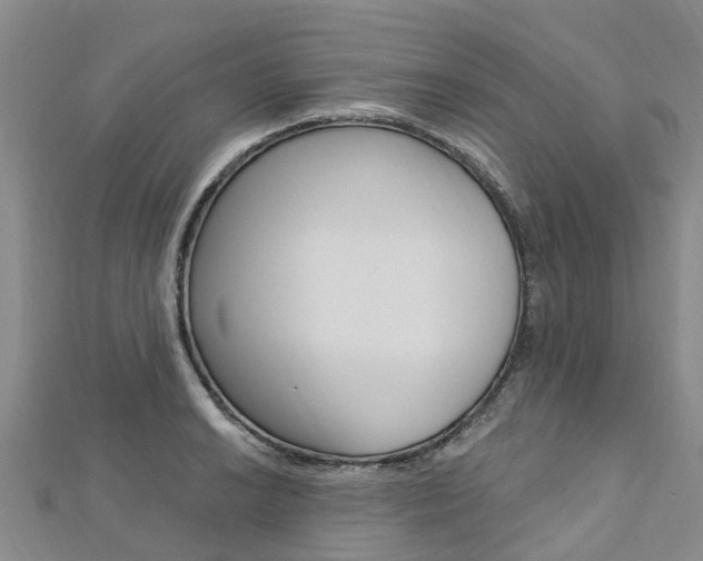 X0000112741038200908201030