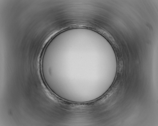X0000112741039200908201030