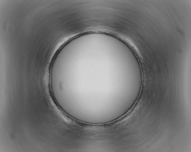 X0000112741040200908201030