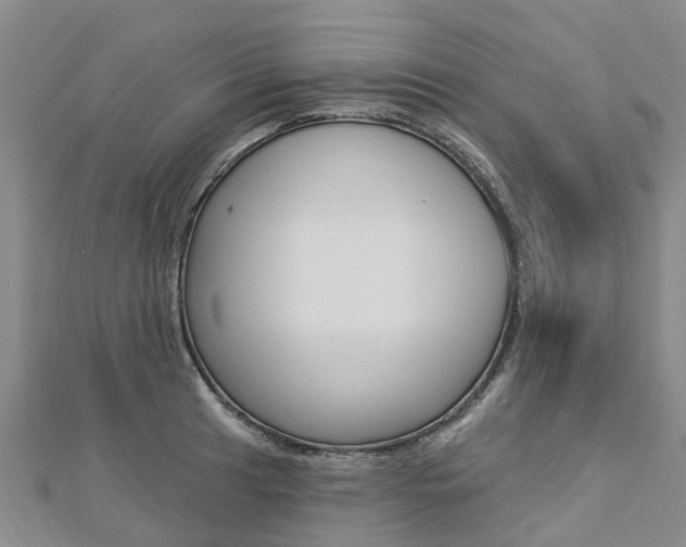 X0000112741041200908201030