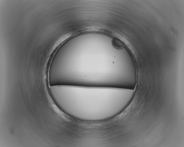 X0000112741042200908201030