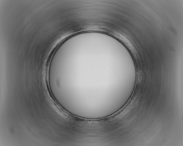 X0000112741043200908201030