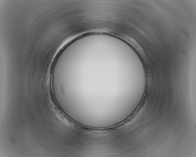 X0000112741044200908201031