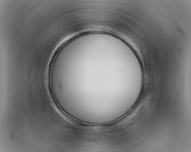 X0000112741045200908201031