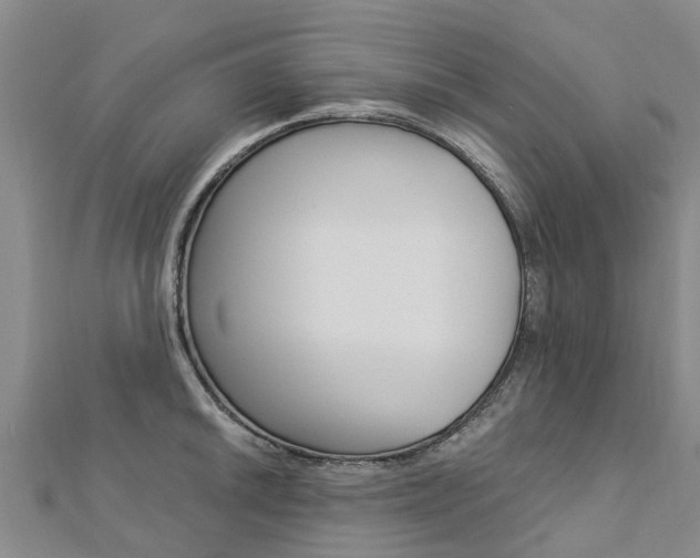 X0000112741046200908201031