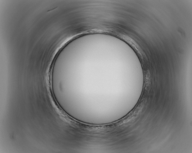 X0000112741047200908201031