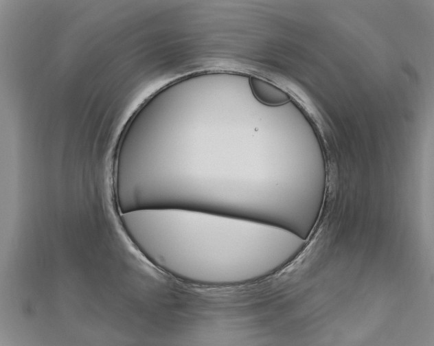 X0000112741048200908201031