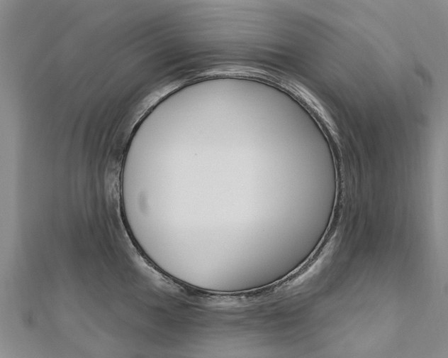X0000112741049200908201031