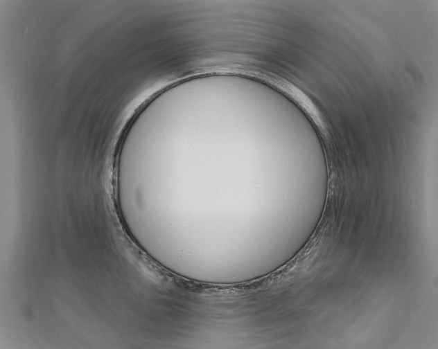 X0000112741051200908201031