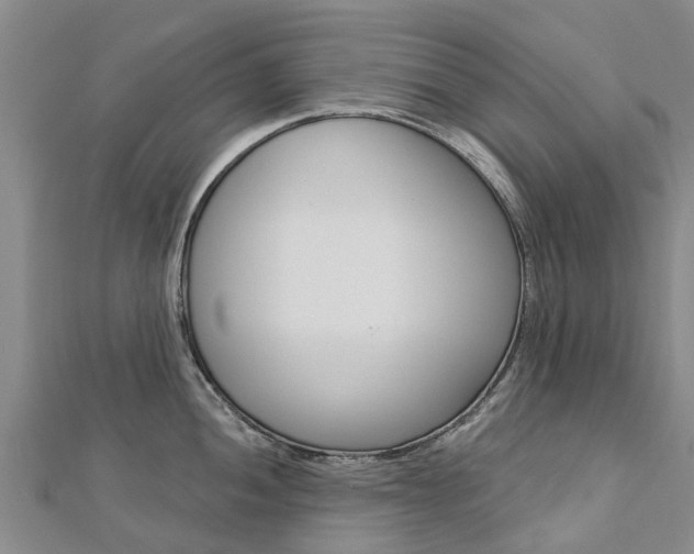 X0000112741052200908201031