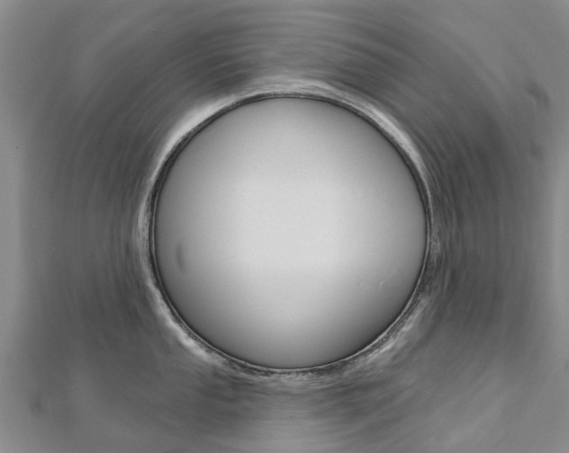 X0000112741053200908201031