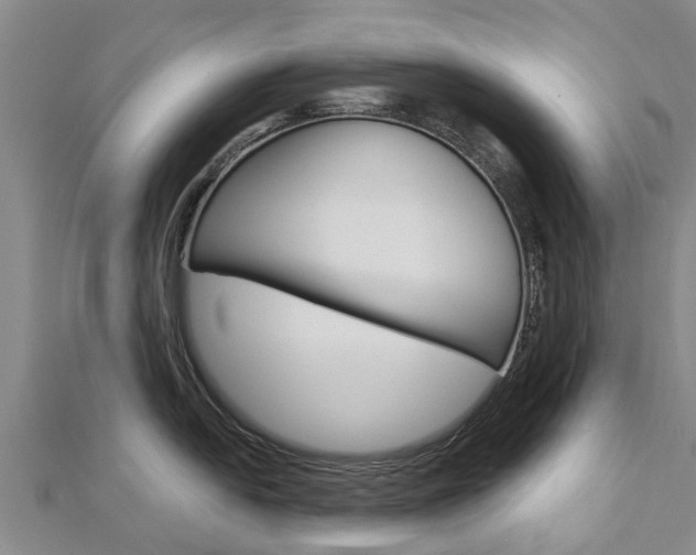 X0000112741054200908201031