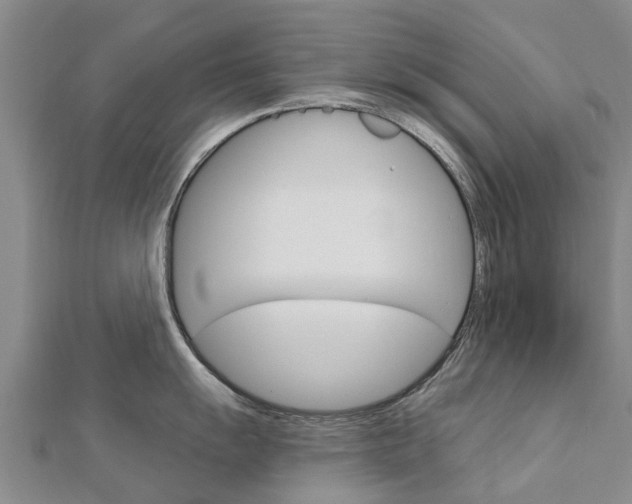 X0000112741055200908201031