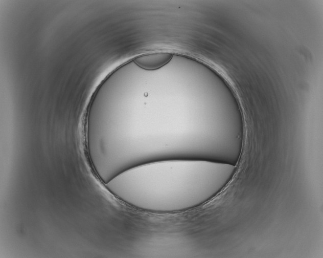 X0000112741056200908201031