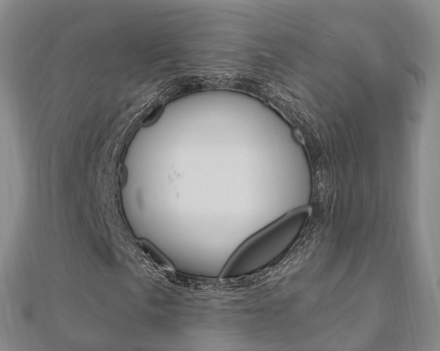 X0000112741057200908201030