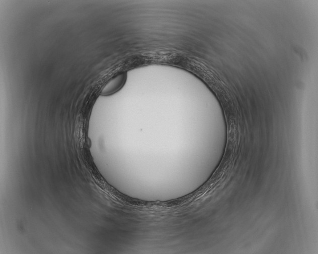 X0000112741058200908201030