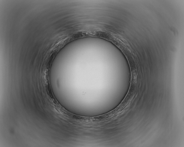 X0000112741060200908201030