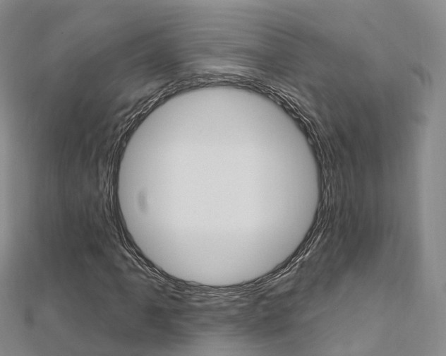 X0000112741061200908201030