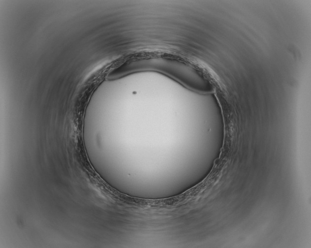 X0000112741064200908201030