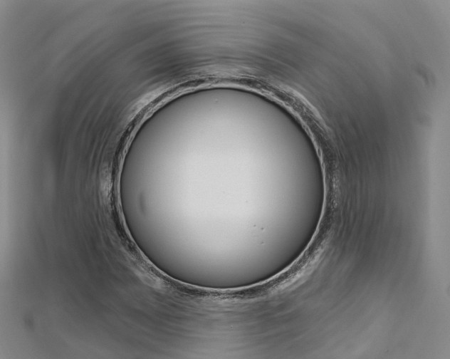 X0000112741065200908201030