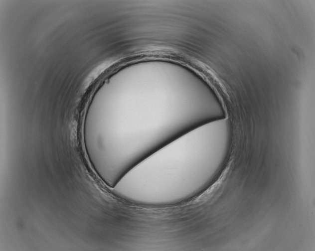X0000112741066200908201030