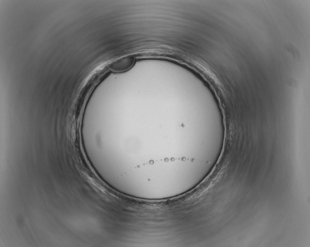 X0000112741067200908201030