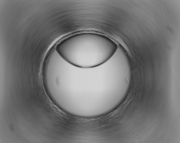 X0000112741068200908201030