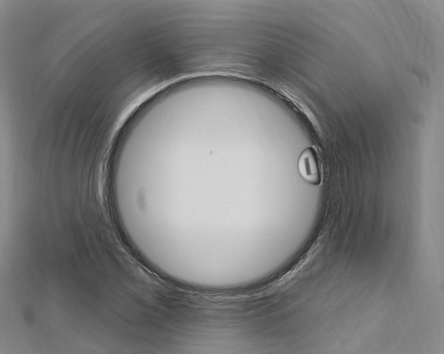 X0000112741069200908201030