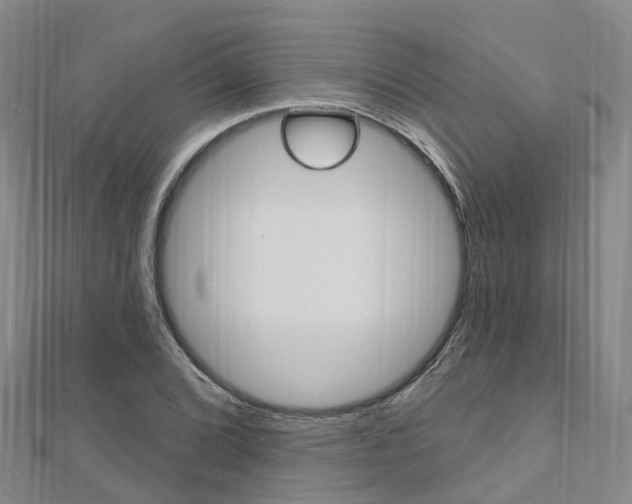X0000112741072200908201030