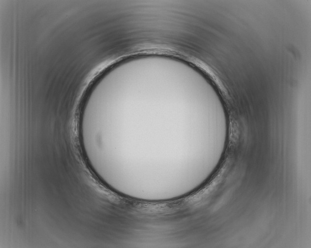 X0000112741074200908201030