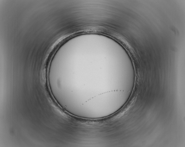 X0000112741075200908201030