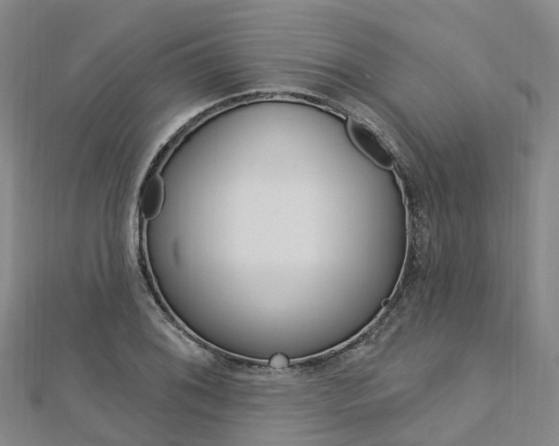 X0000112741076200908201030