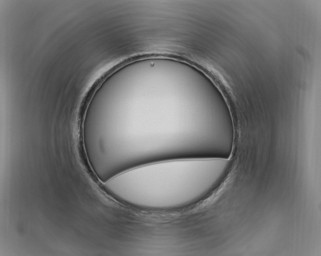 X0000112741077200908201030