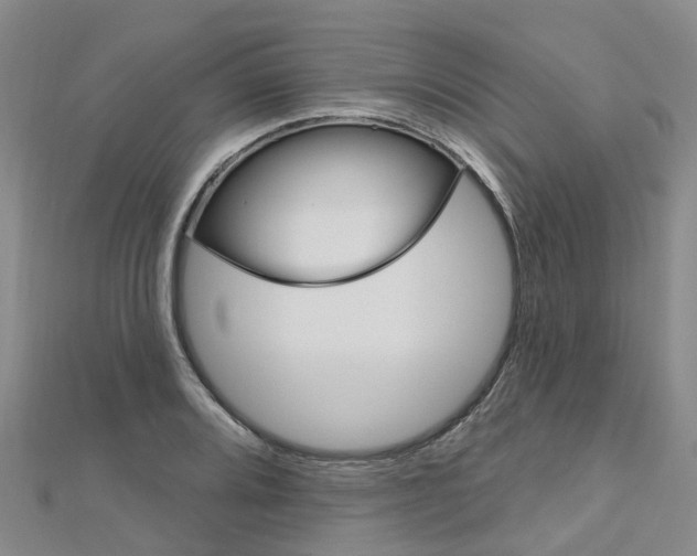 X0000112741080200908201030