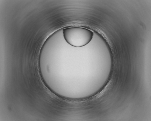 X0000112741081200908201030