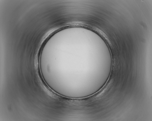 X0000112741082200908201030