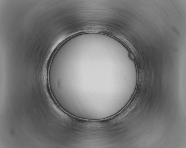 X0000112741083200908201030