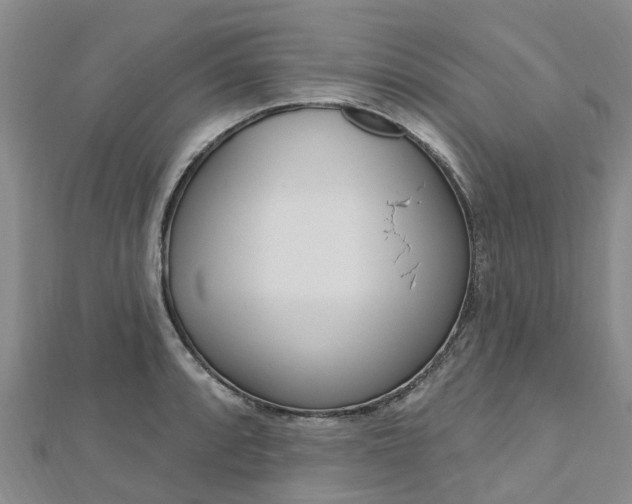 X0000112741088200908201029
