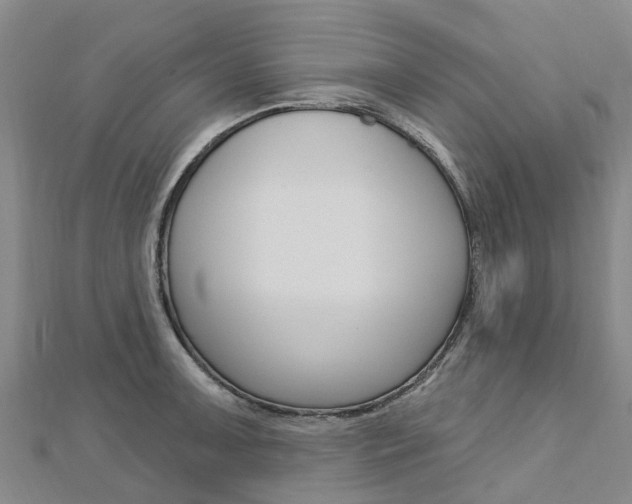 X0000112741091200908201029