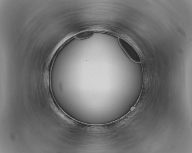 X0000112741092200908201029