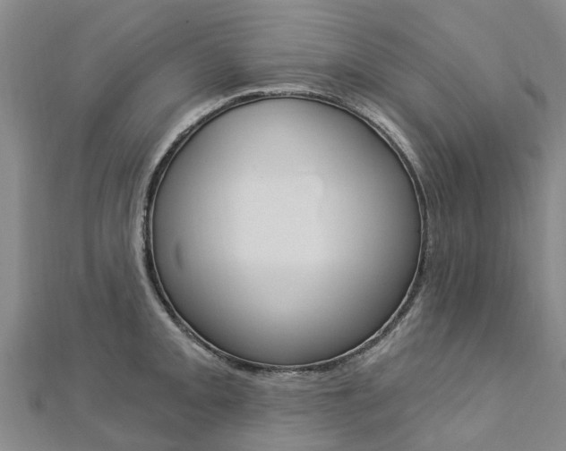 X0000112741093200908201029