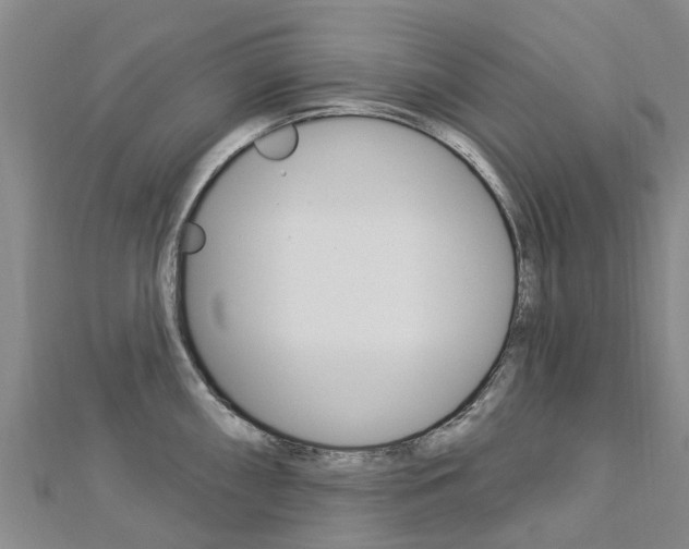 X0000112741098200908201029