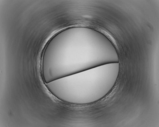 X0000112741099200908201029