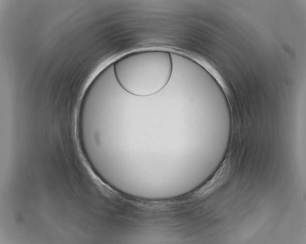 X0000112741101200908201029