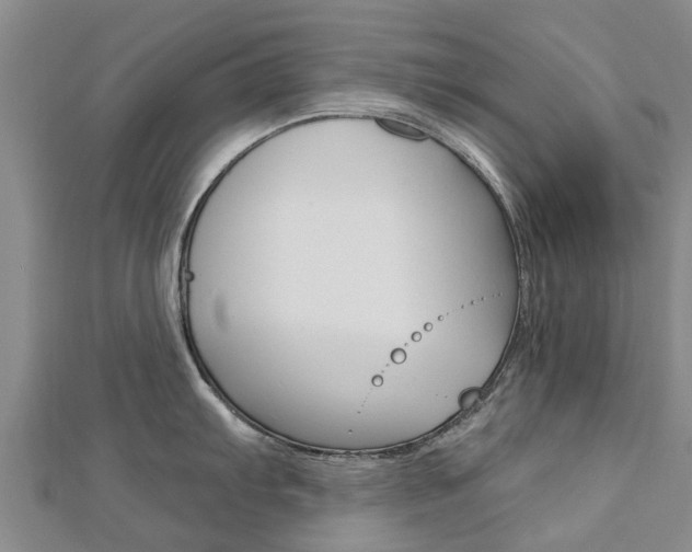 X0000112741103200908201029