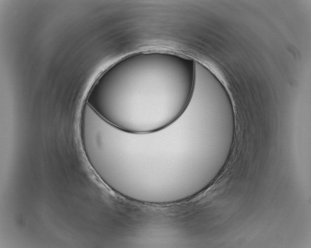 X0000112741104200908201029