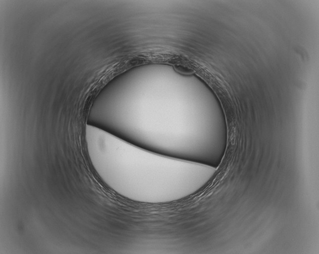 X0000112741108200908201029