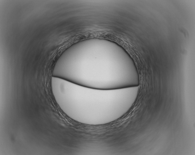 X0000112741109200908201029