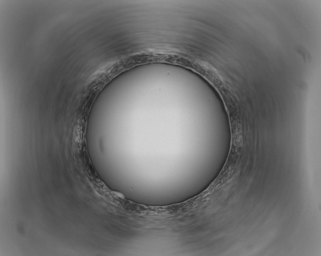 X0000112741110200908201029
